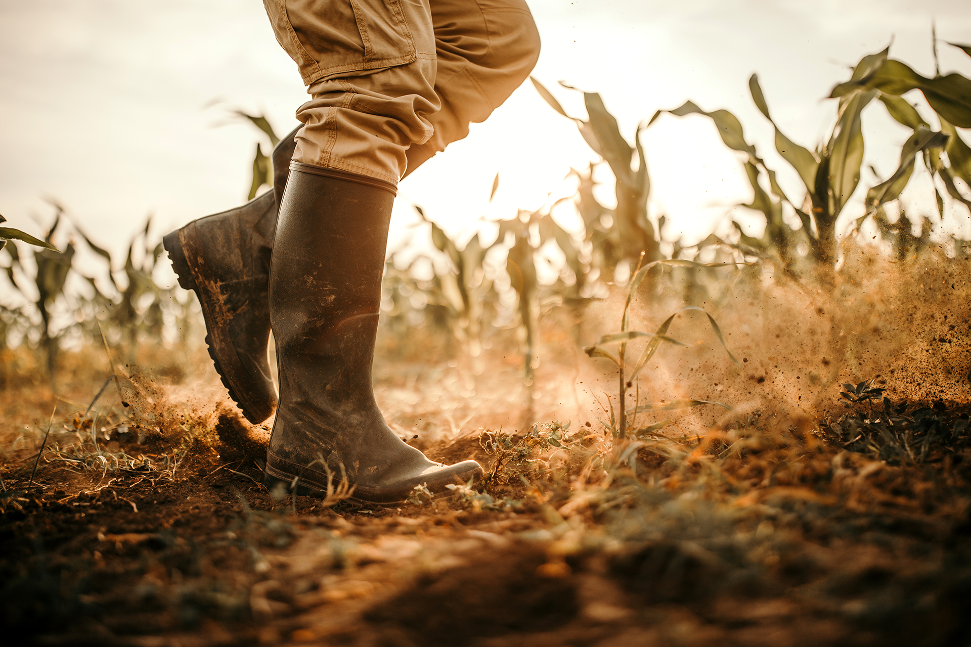 rainboots walking through dirt