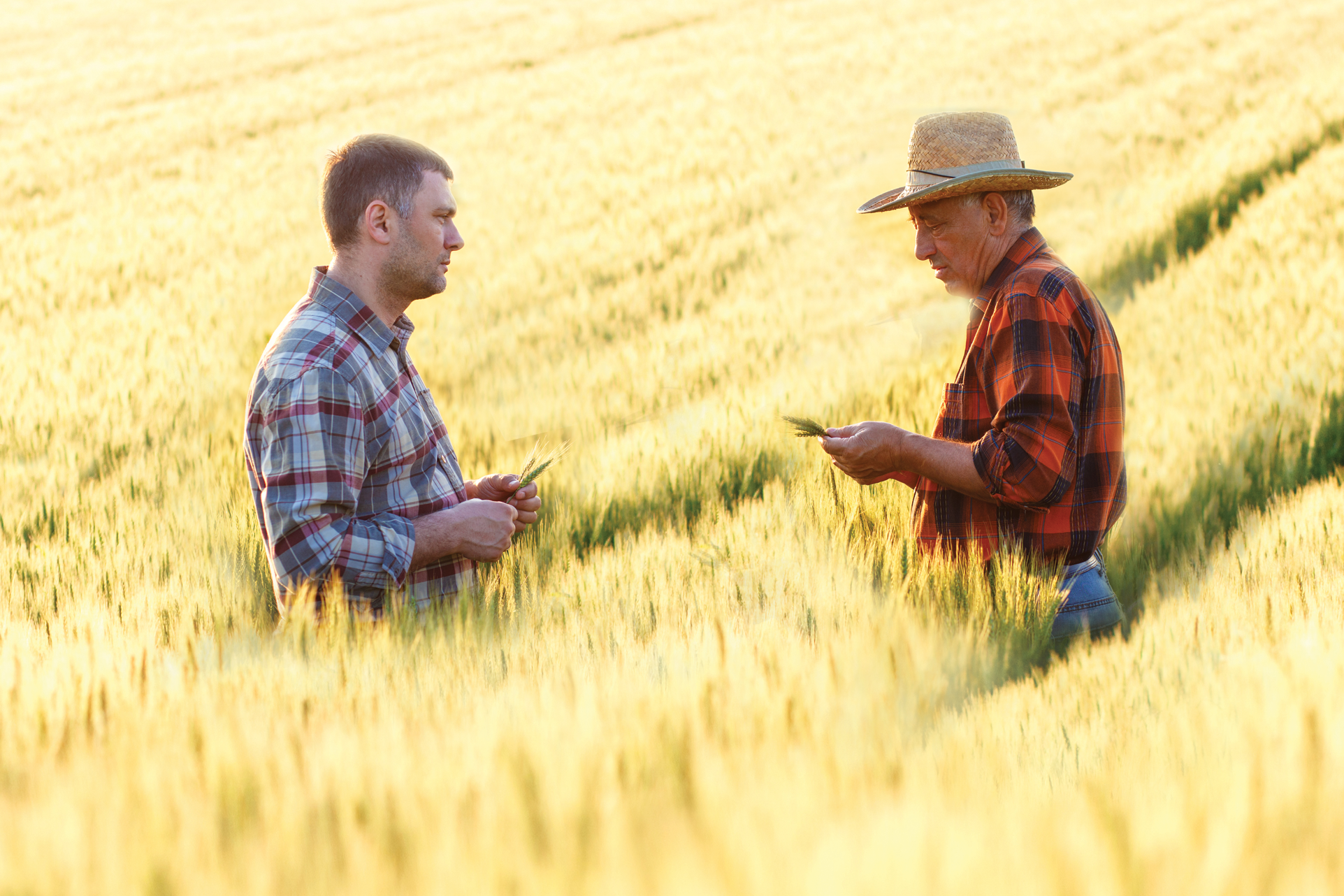 two men talking in a farm field