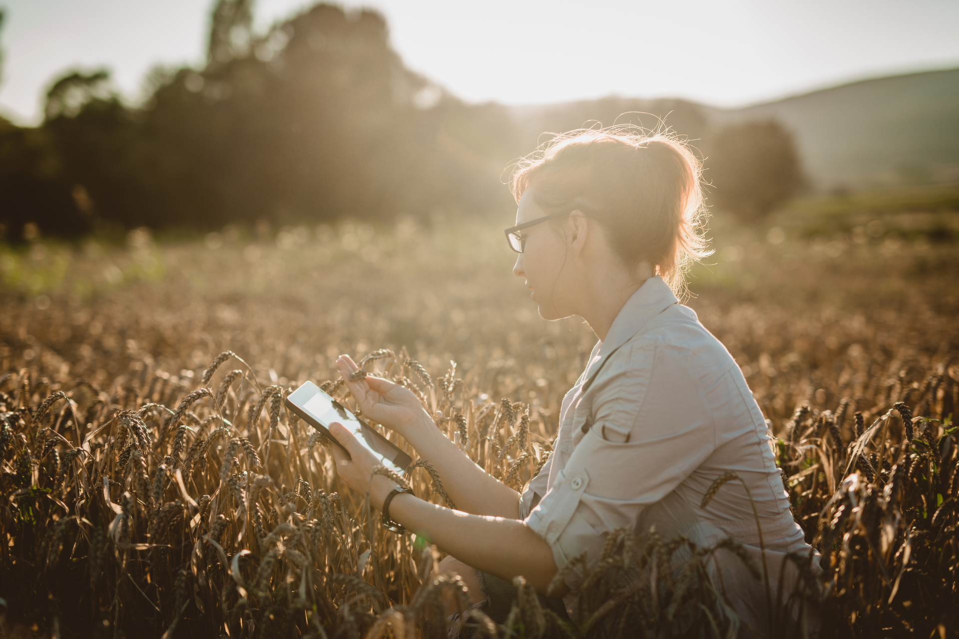 Women in wheat field with ipad